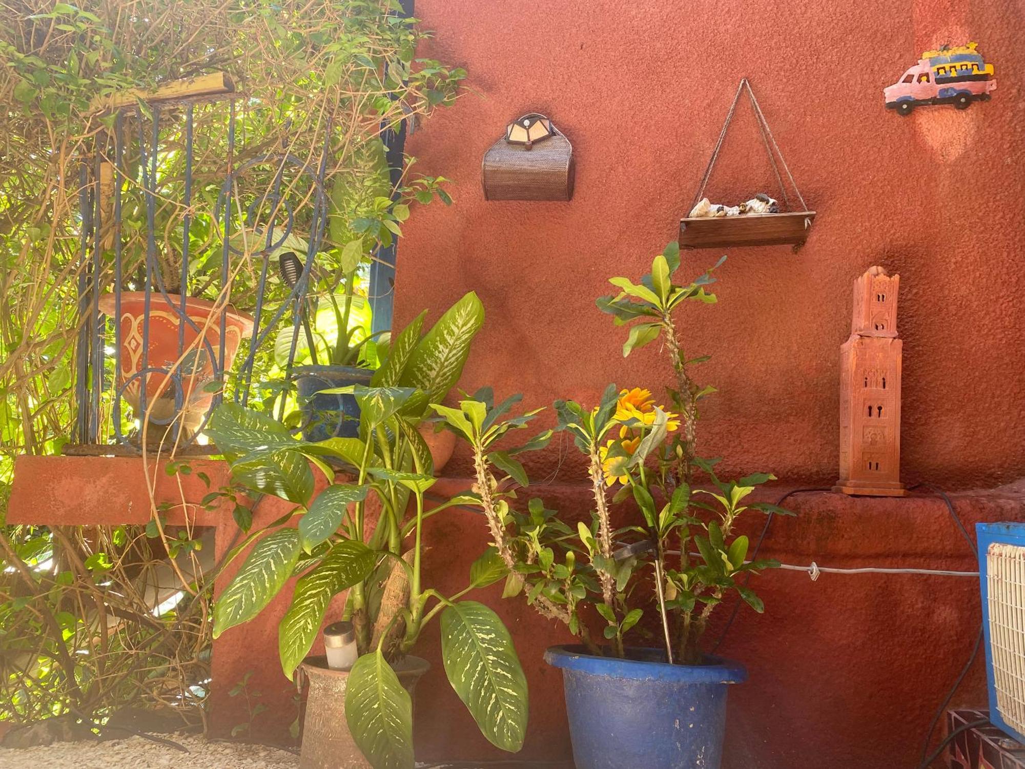 Fabuleux Petit Marrakech 5* Dakar